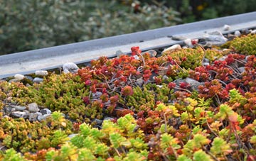 the cost of Fen End green roof installation