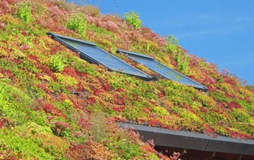 Fen End living roof systems
