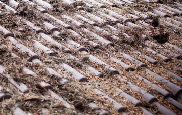 Fen End roof cleaning companies