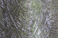 Fen End fibreglass roof work